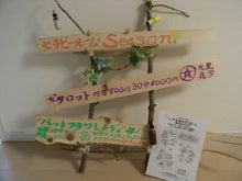奈良発バッチフラワーレメディ・セラピールームSeason